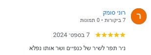 ביקורת 1